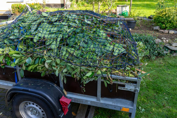 Best Estate Cleanout  in USA